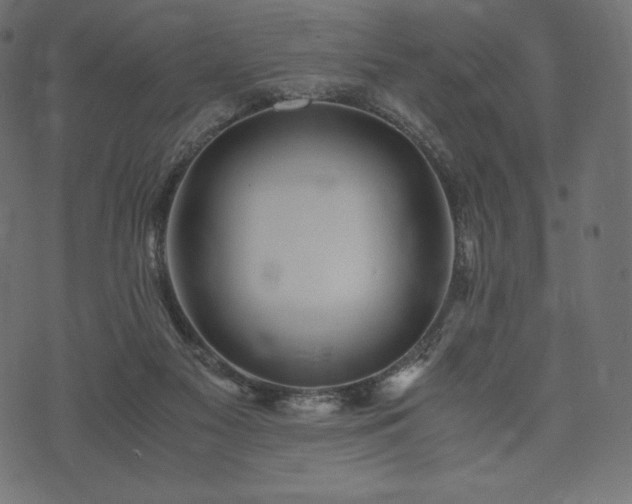 X0000073860117200608170952