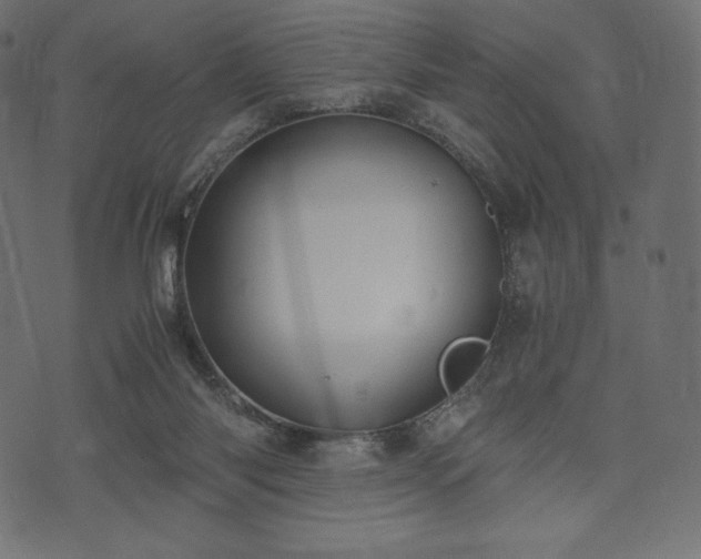 X0000073860118200608170952