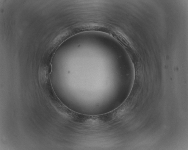 X0000073860119200608170952