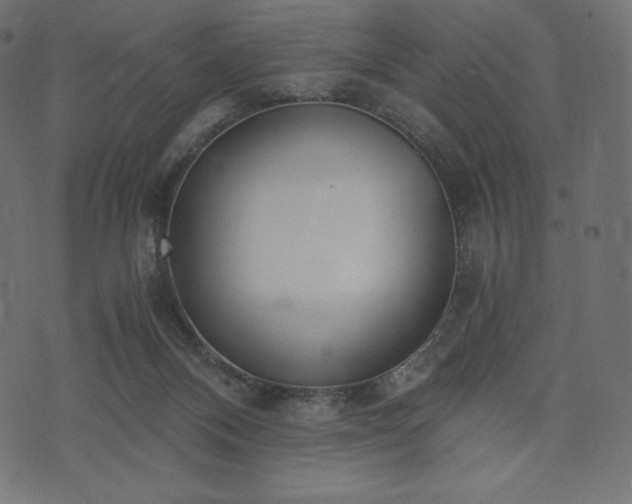 X0000073860120200608170952