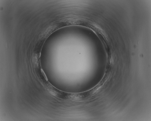 X0000073860121200608170952