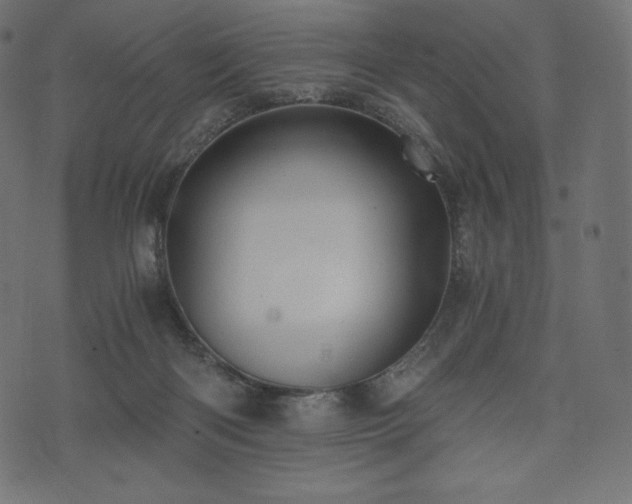 X0000073860122200608170952