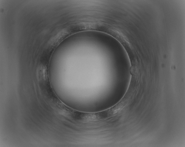 X0000073860123200608170952