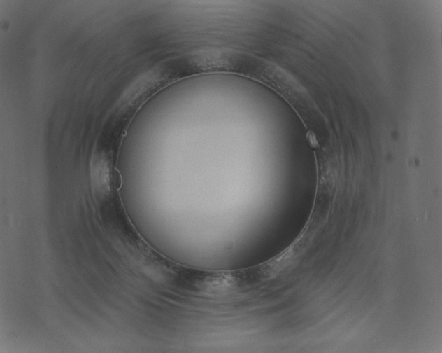 X0000073860124200608170952