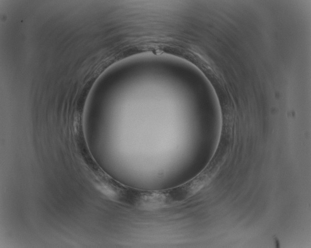 X0000073860125200608170952