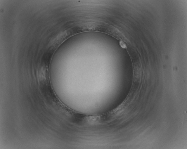 X0000073860126200608170952