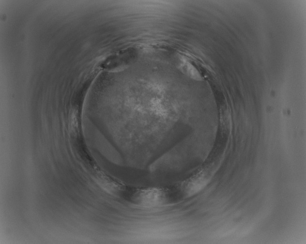 X0000073860127200608170952