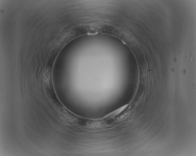 X0000073860129200608170952