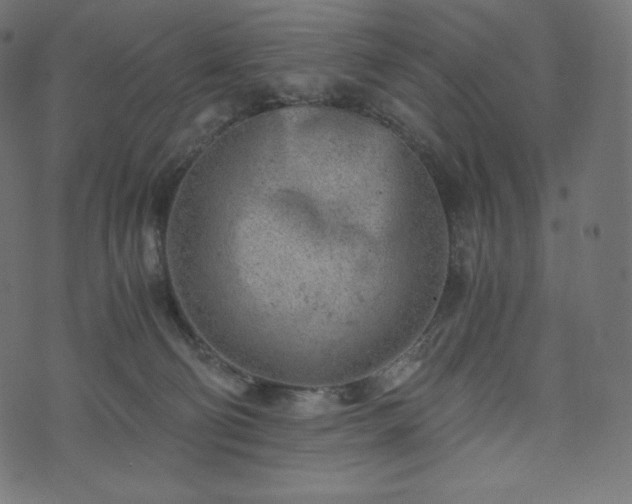 X0000073860130200608170952