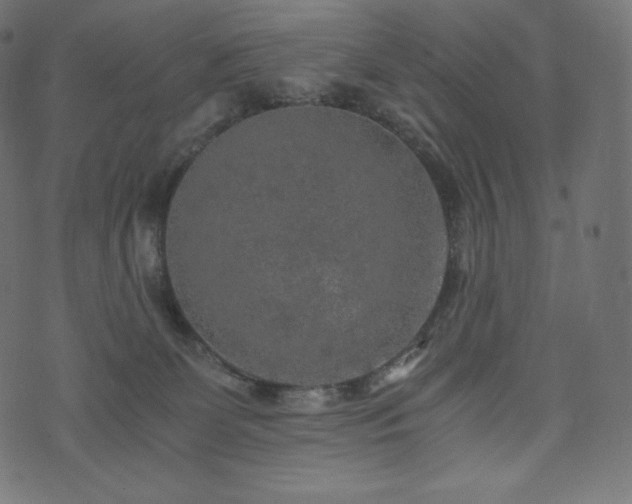 X0000073860131200608170952