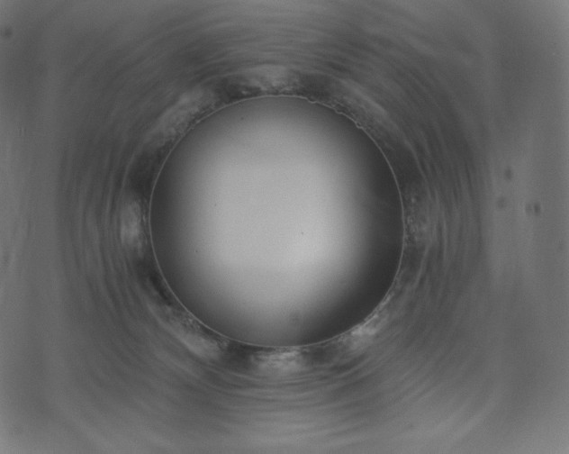 X0000073860132200608170952