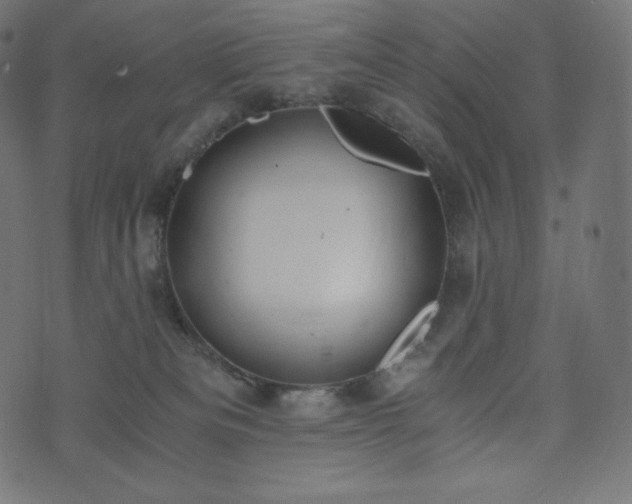 X0000073860133200608170952