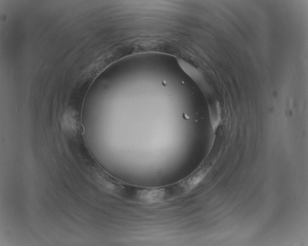 X0000073860135200608170952