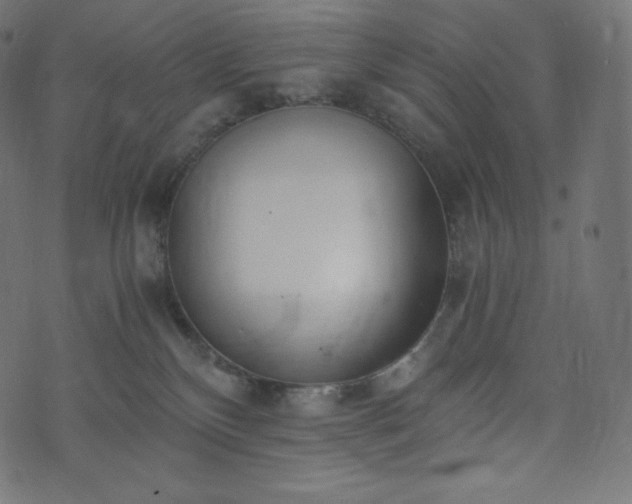 X0000073860136200608170952