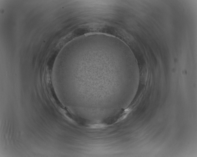 X0000073860137200608170952