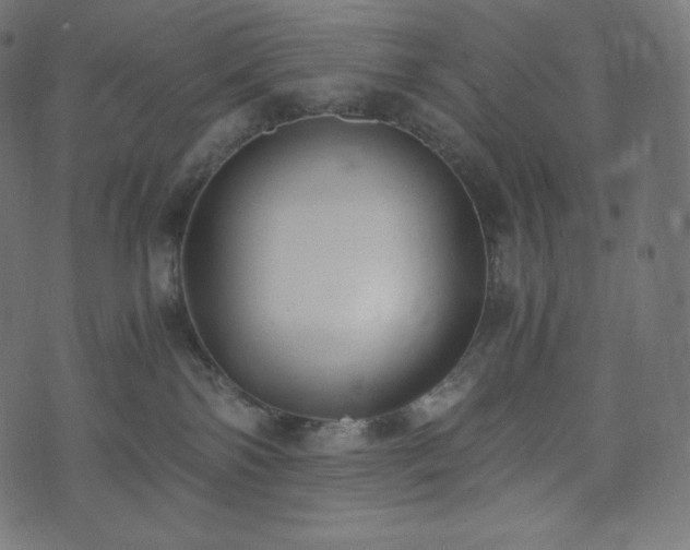 X0000073860138200608170952