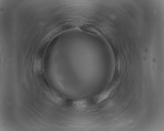 X0000073860139200608170952