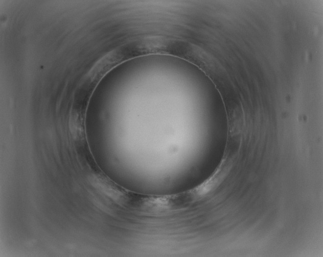 X0000073860140200608170952