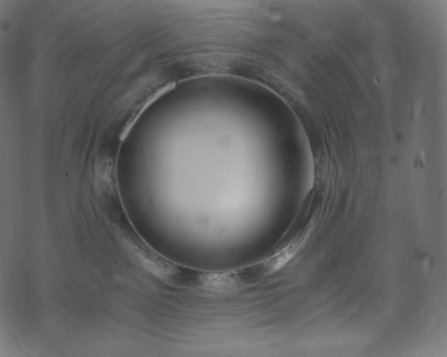 X0000073860141200608170952