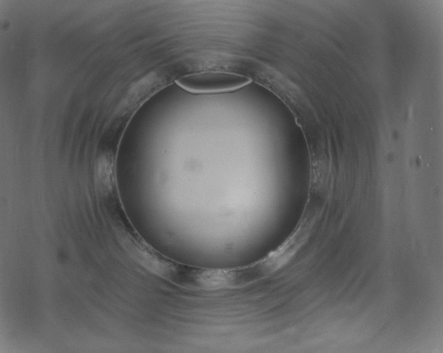 X0000073860142200608170952