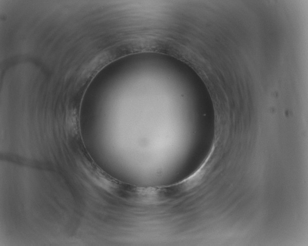 X0000073860144200608170952