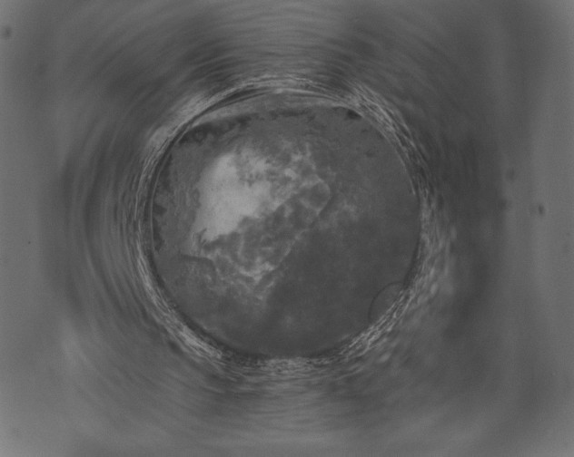 X0000073860145200608170951