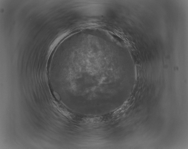 X0000073860147200608170951