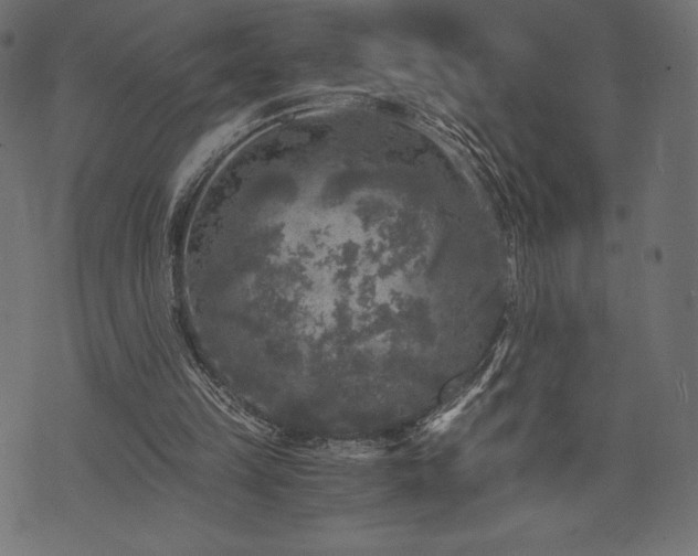 X0000073860149200608170951