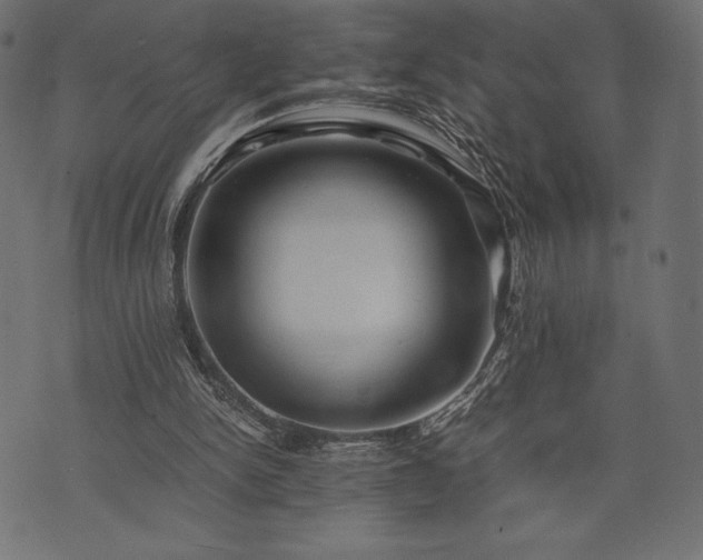 X0000073860150200608170951