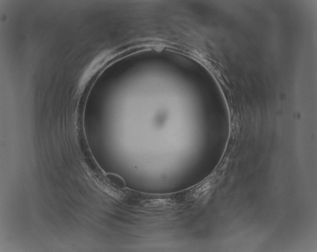 X0000073860151200608170951