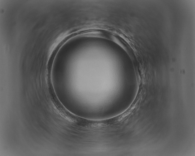 X0000073860152200608170951