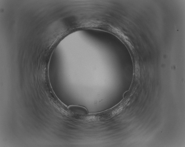 X0000073860153200608170951