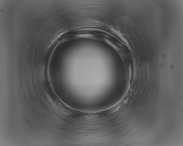 X0000073860154200608170951