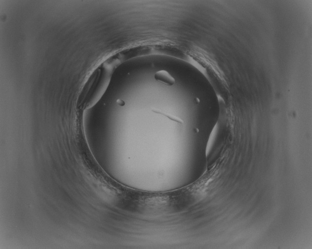 X0000073860156200608170951