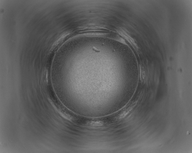 X0000073860157200608170951