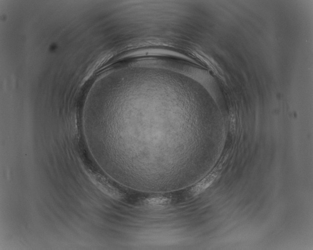 X0000073860158200608170951