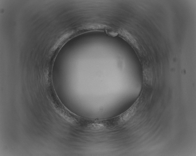 X0000073860159200608170951