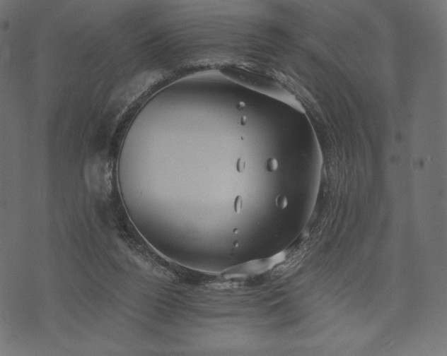 X0000073860160200608170951