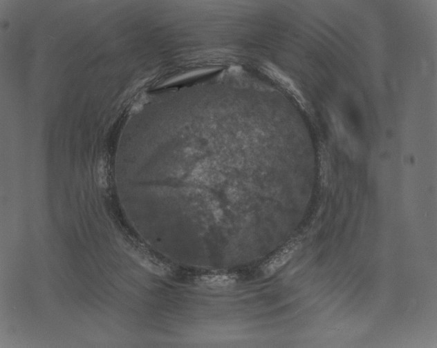 X0000073860161200608170951