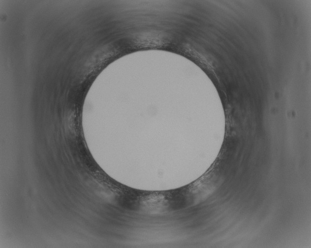 X0000073860162200608170951