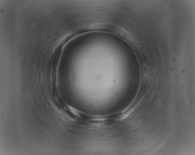 X0000073860164200608170951