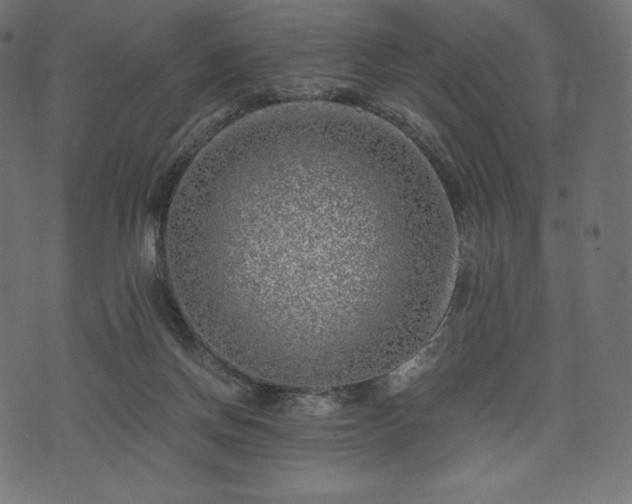 X0000073860166200608170951