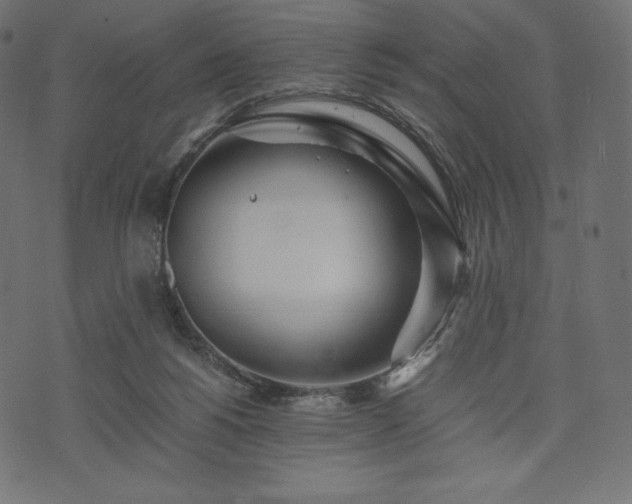 X0000073860168200608170951