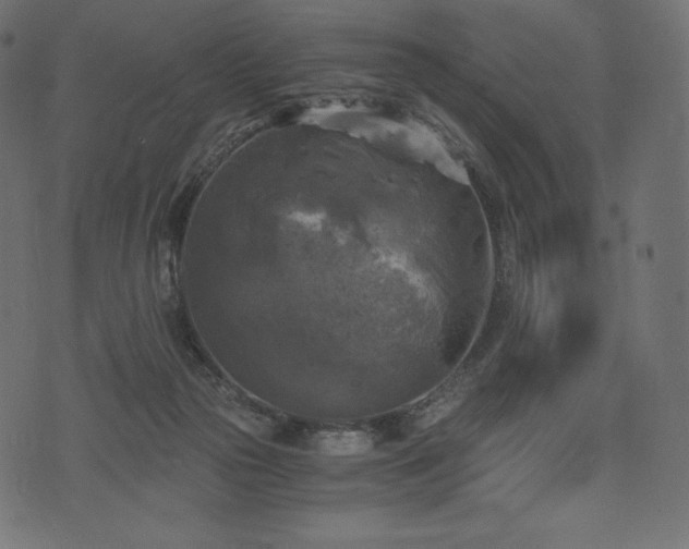 X0000073860169200608170951