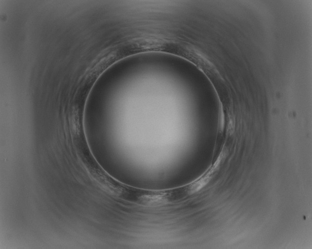 X0000073860170200608170951