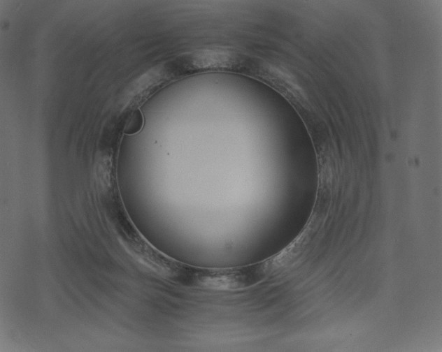 X0000073860171200608170951