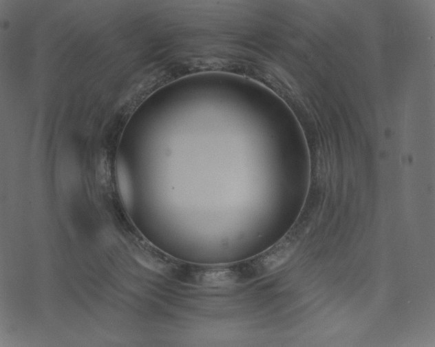 X0000073860173200608170951