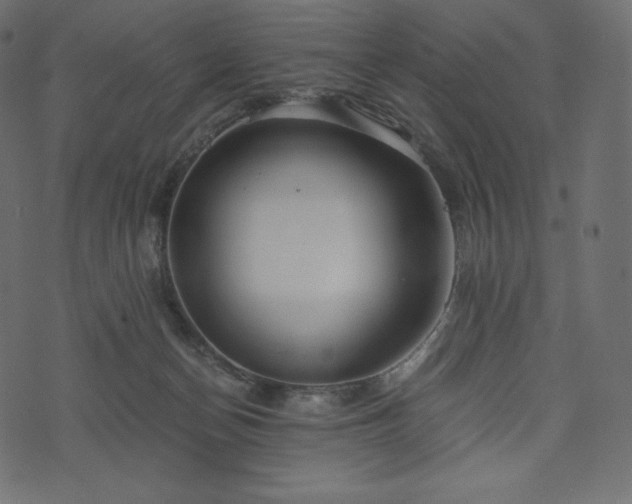 X0000073860174200608170951