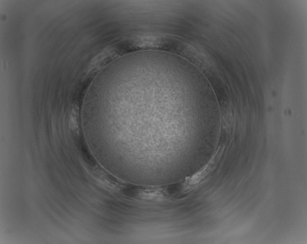 X0000073860175200608170951