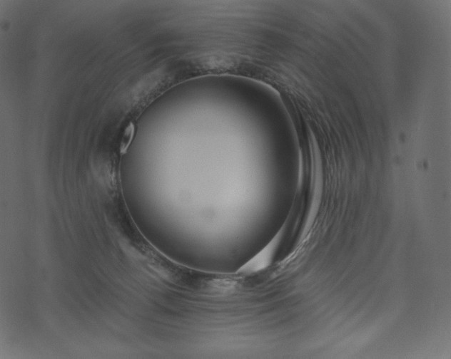 X0000073860176200608170951